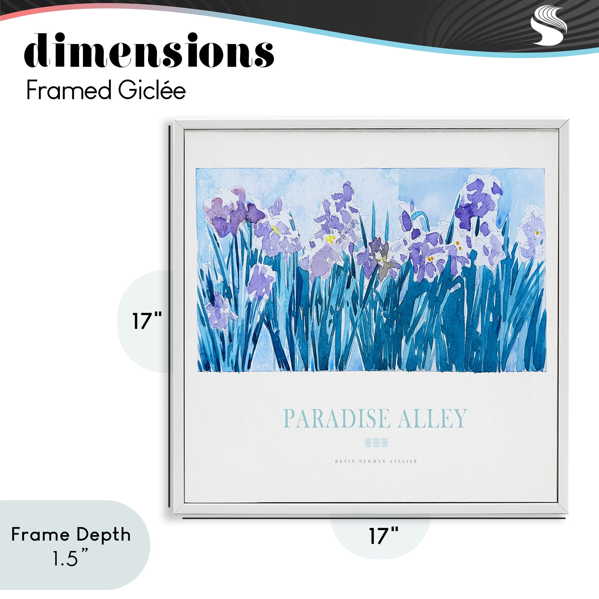 Stupell Industries Paradise Alley Purple Irises White Framed Giclee Art, design by Jadei Graphics