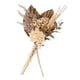 thumbnail image 2 of Ramo de hierba seca Colco jarrón para fiesta fragmitas flor seca Oro hierba de pampa seca, 2 of 8