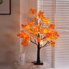 Image thumbnail_image
