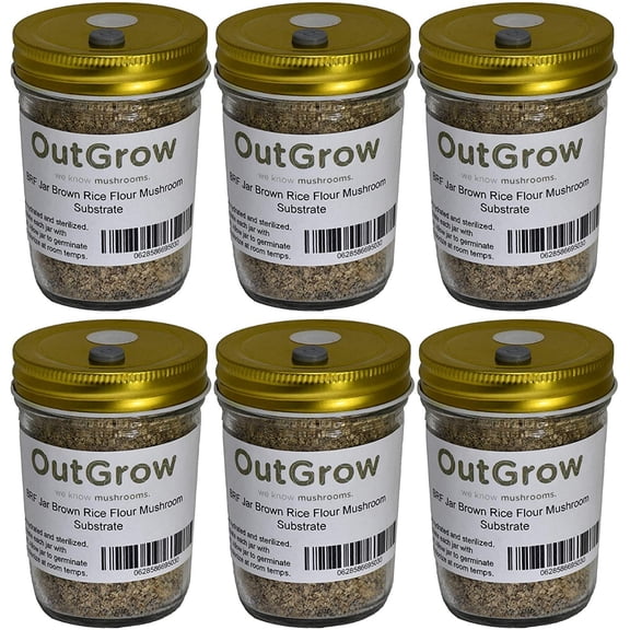 BRF Jars - Brown Rice Flour Mushroom Substrate | 6-Pack of Half-Pint Jars