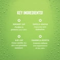 thumbnail image 4 of Coochy Fragrance Mist - Hair and Body Mist Spray for Women - Infused with Tangy Lime, Sparkling Citrus & Vanilla - Key Lime Pie - 4 fl oz, 4 of 6