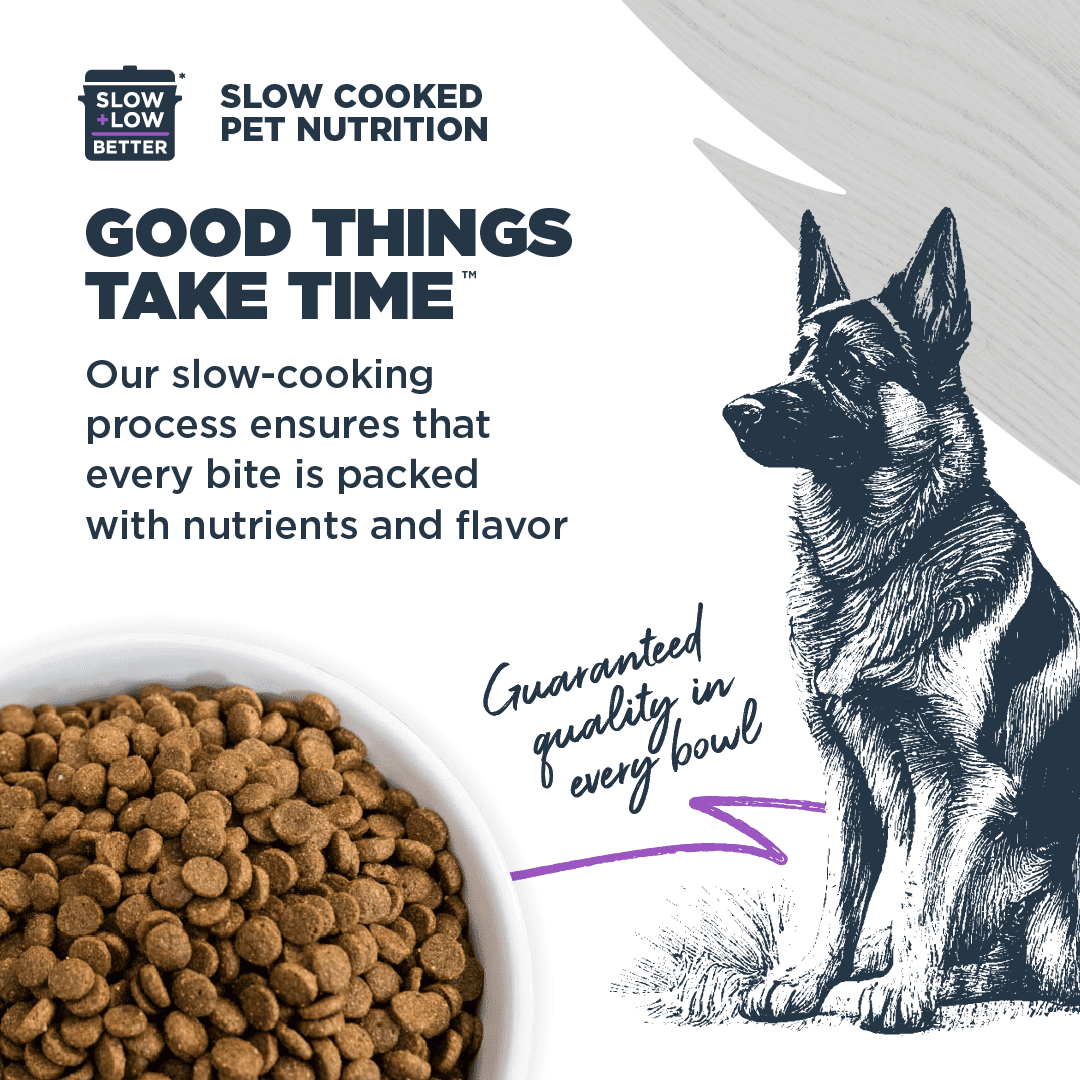 Blackwood Dry Dog Food Large Breed Whitefish Meal with Ancient Grains 10 lb.