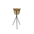 thumbnail image 1 of Benzara BM161398 Metal Planter on Stand, Gold & Black, 1 of 1