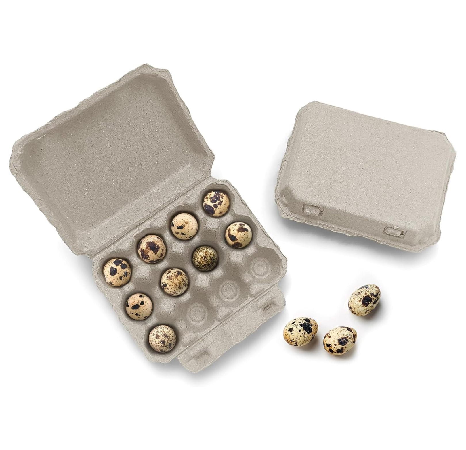 Quail Egg Cartons - Recycled Cardboard Paper Pulp 3x4 Square Style - Holds One Dozen Quail Eggs- Bulk (144)