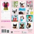 thumbnail image 5 of Graphique 2025 Pawparazzi Mini Wall Calendar - 7” x 7” - Thick Paper - Home & Office Organizer - Large Monthly Grid - 3 Languages & Marked Holidays - 4 Month Preview Page for 2026, 5 of 6