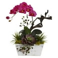 thumbnail image 2 of Orchid  Succulent Garden with White Wash Planter, 2 of 5