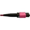 thumbnail image 2 of Tripp Lite Multimode Fiber Optic Cable 400G OM4 MTP/MPO-APC to MTP/MPO-UPC F/F 5M, 2 of 5