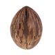 thumbnail image 3 of 3 piezas de conos de frutas secas pequeñas y naturales reales a granel para adornos de decoraciones navideñas para fiestas en casa Macarena Flores secas prensadas naturales, 3 of 7