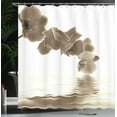 thumbnail image 3 of Ambesonne Floral Shower Curtain, Orchid Composition Garden, 69"Wx75"L, Sepia White, 3 of 4