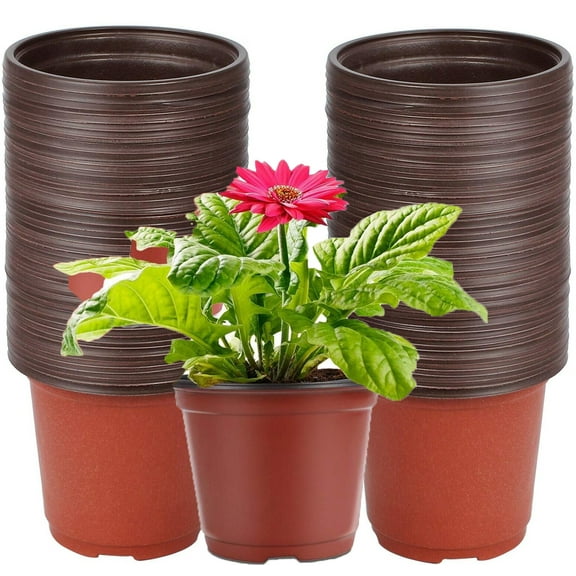 50 Pack Plant Nursery Pots,Bexikou 5 Inch Plastic Seedling Pots for Plants,Plastic Plant Pots with Holes,Seed Starting Pot,Garden Flower Pots for Transplanting, Succulents, Cuttings, Seedlings