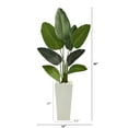 thumbnail image 2 of Nearly Natural 5' Travelers Palm Artificial Tree in Tall White Planter, 2 of 3