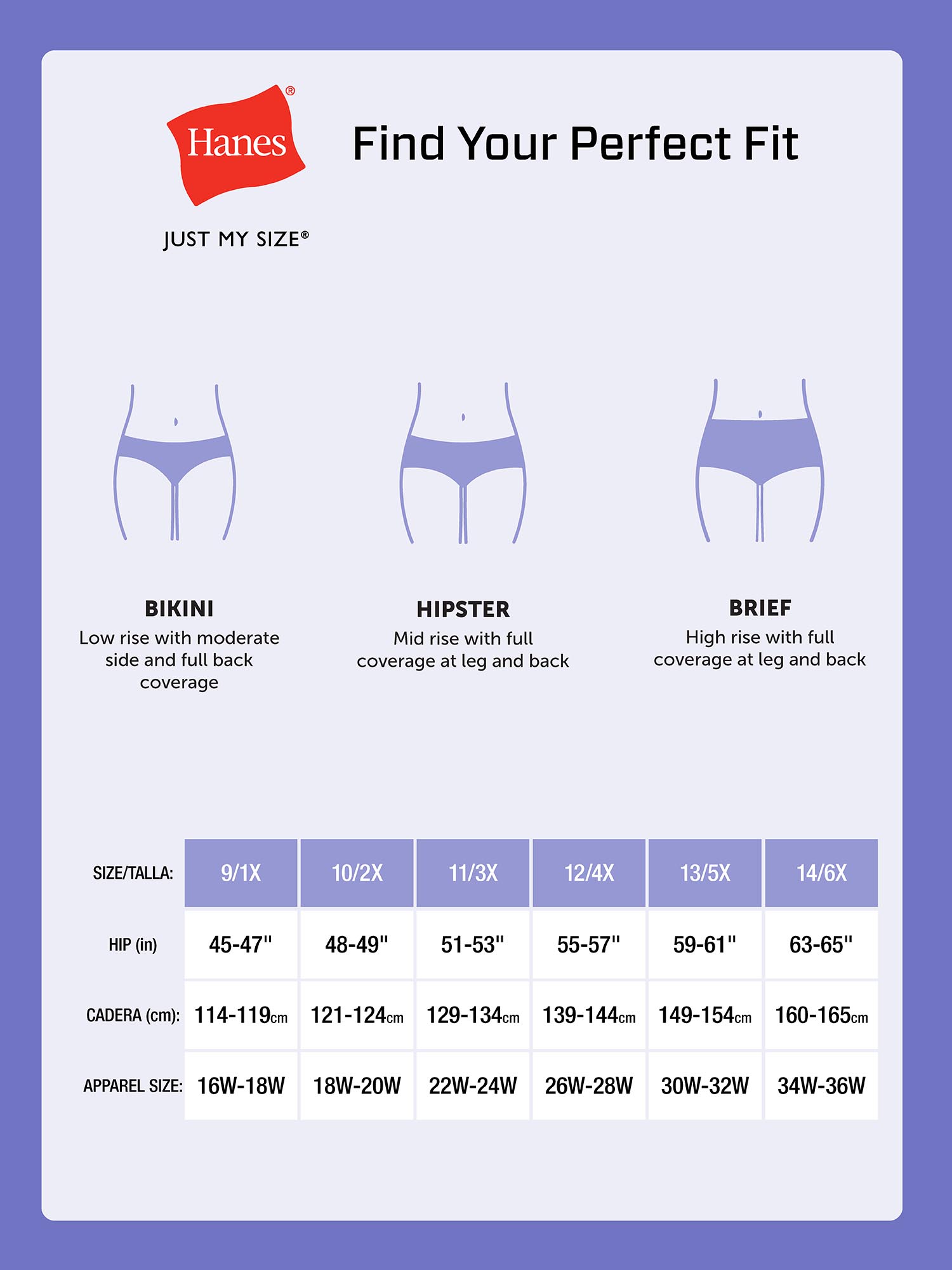 Hanes Women's Underwear Briefs 5-Pack, Plus Size photo 4