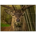 thumbnail image 1 of Deer Ceramic Tile Mural Kitchen Backsplash Bathroom Shower 402761-M43, 1 of 3