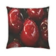 thumbnail image 2 of Ahgly Company Coussin d'Intérieur Rouge Color Focus, 18 Pouces par 18 Pouces, 2 of 6