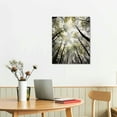 thumbnail image 2 of JEUXUS Forest Wall Art Large Grey Tree Pictures Black and White Gray Canvas Prints Hand Painted Oil Paintings Gold Leaf Framed Nature Artwork Vertical Home Decor for Living Room 16x20 inch, 2 of 4