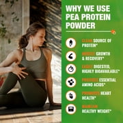 Zammex Organic Hydro Pea Protein Powder, Natural Flavor, Vegan Protein Powder, Plant Based, Certified USDA, 2.62 lbs