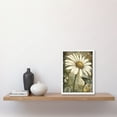 thumbnail image 2 of Pastel Watercolour Daisy Flower Bloom Illustration Artwork Framed Wall Art Print A4, 2 of 4