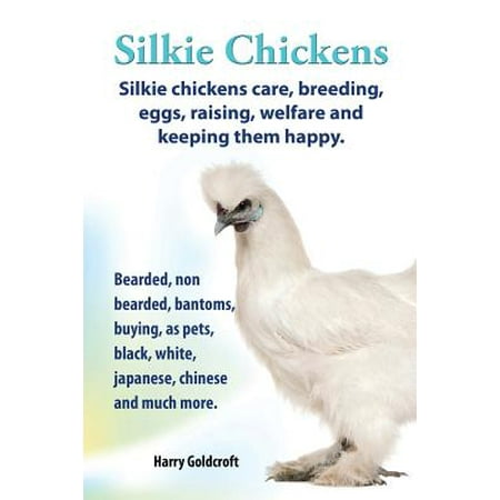 . Silkie Chickens. Silkie Chickens Care, Breeding, Eggs, Raising, Welfare and Keeping Them Happy, Bearded, Non Bearded, Bantoms, Buying, as Pets, (Best Chicken Breeds For Eggs)