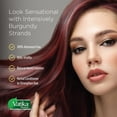 thumbnail image 4 of "VATIKA Henna Burgundy Hair Color - 60 Grams (2.11oz)", 4 of 5