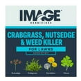 thumbnail image 3 of Image 100523495 All-in-One Lawn Weed Killer Concentrate 6,000 sq. ft. Coverage Area, 24 oz., 3 of 10