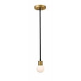 thumbnail image 4 of Z-Lite Neutra Clear Glass Steel Mini Pendant in Matte Black and Polished Brass, 4 of 5