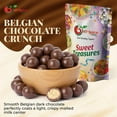 thumbnail image 6 of NY SPICE SHOP Belgian Dark Chocolate Covered Malt Balls - 08 Ounce - Dark Chocolate Malted Milk Balls - Cocoa-Coated Malt Crunch Bites - Dark Chocolate Malt Ball Holiday Snacks, 6 of 7