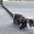 thumbnail image 4 of Cuerda de Tracción para Perros, Simulación de Cadena Gruesa, Cadena Grande de Hierro, Broma Divertida, Suministros para Caminar para Perros, Cuerda Negra, 4 of 5