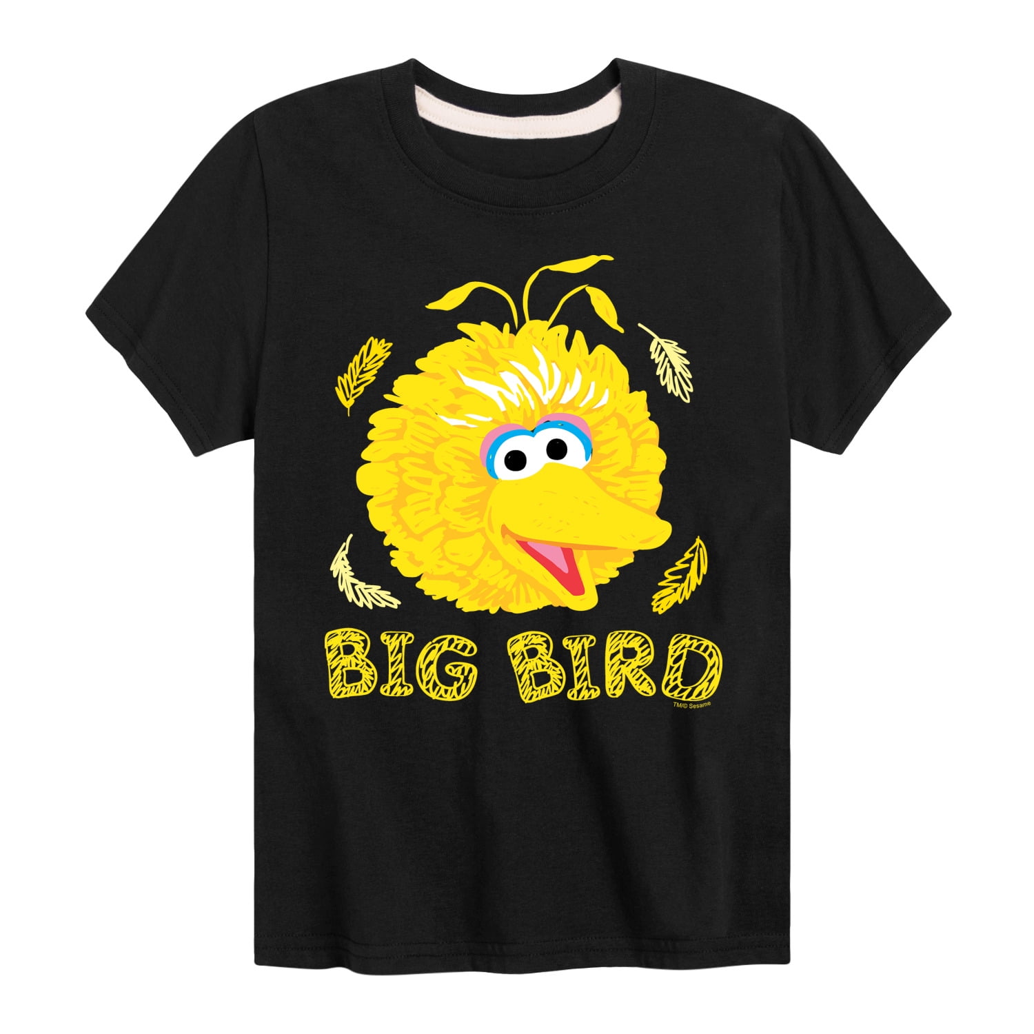 Sesame Street - Big Bird Face - Toddler and Youth Short Sleeve Graphic T-Shirt