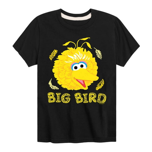 Sesame Street - Big Bird Face - Toddler and Youth Short Sleeve Graphic T-Shirt