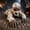 Mummy-41.7in, variant on Crawling Zombie Animatronic, Choose Your Style Moving Zombie Decoration with Sound Activated LED Eyes