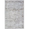 thumbnail image 5 of BoutiqueRugs Clodia Traditional, Transitional Area Rug - Ivory, Taupe, Charcoal - 2' x 3', 5 of 6