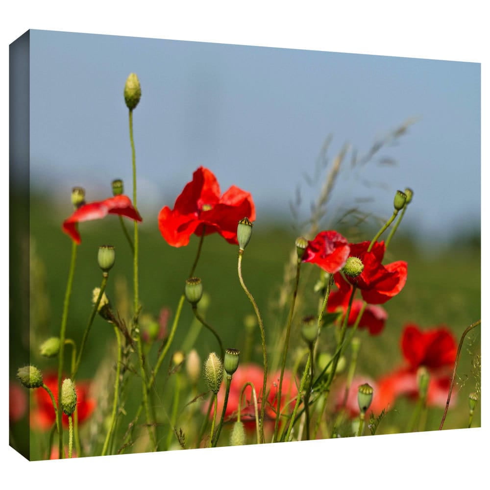 Lindsey Janich "3097A" Gallery-Wrapped Canvas