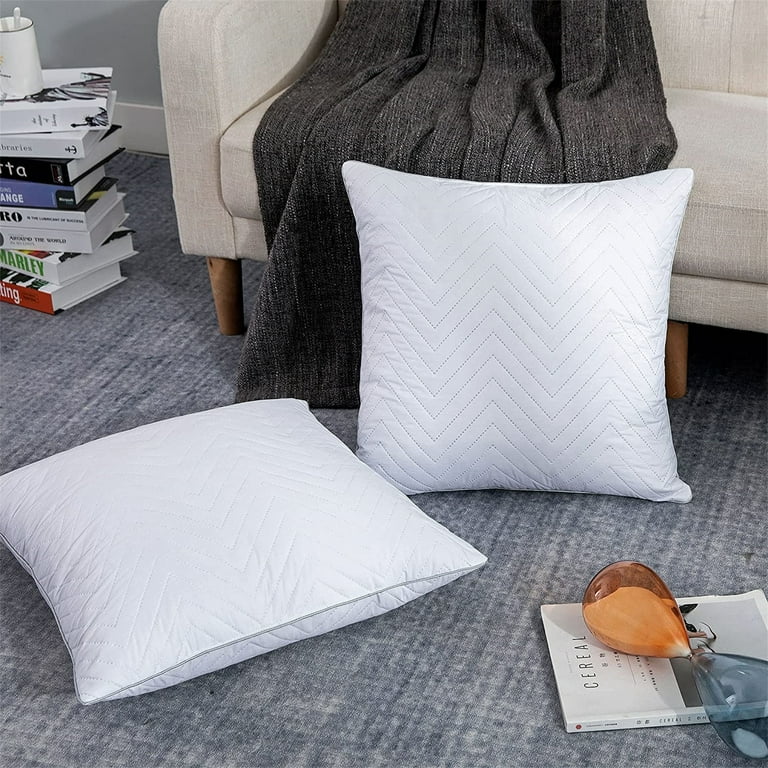 Decorative Throw Pillows for Couch Feathers and Down White Pillow