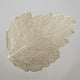 thumbnail image 2 of Maple Fall Leaf PVC PLacemats Reusable Countertop Placemat Ideal Gift for Friend and Family, 2 of 5