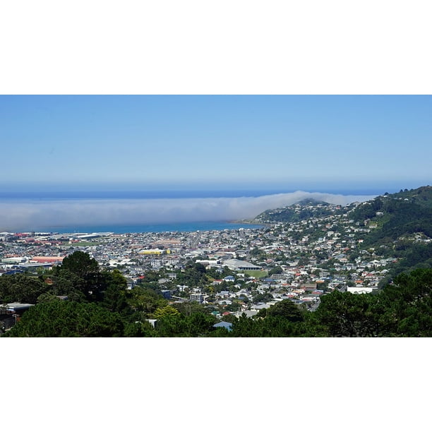 Mount Victoria Wellington New Zealand North Island20 Inch By 30 Inch