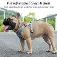 thumbnail image 3 of Dogs Harness And Leash Set French Bulldog Harness No Pull Adjustable Pet Chest Vest Reflective Outdoor Walking Pet Harness, 3 of 6