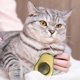 thumbnail image 2 of Bolas de hierba gatera Bolas de hierba gatera de juguete Bola de hierba gatera giratoria de 360 ​​​​° para gatos Bola de hierba gatera montada en la pared utilizada para gatos, limpiar los dientes y atraer gatos (2 unidades) JM, 2 of 5