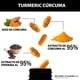thumbnail image 3 of Turmeric Cúrcuma Beyond Vitamins Con Extracto Al 95% y Pimienta Negra Al 95% 150 Cápsulas, 3 of 10