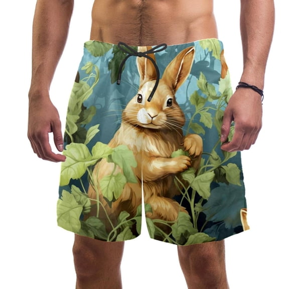 luoweisi Men's Beach Shorts Quick Dry Swim Trunks with Mesh Lining Rabbit XL