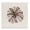 Taupe Striped Sea Urchin, variant on Stupell Industries Coastal Soft Blue Conch Shell Black Framed Print Under Glass, 13 x 13, by Lanie Loreth