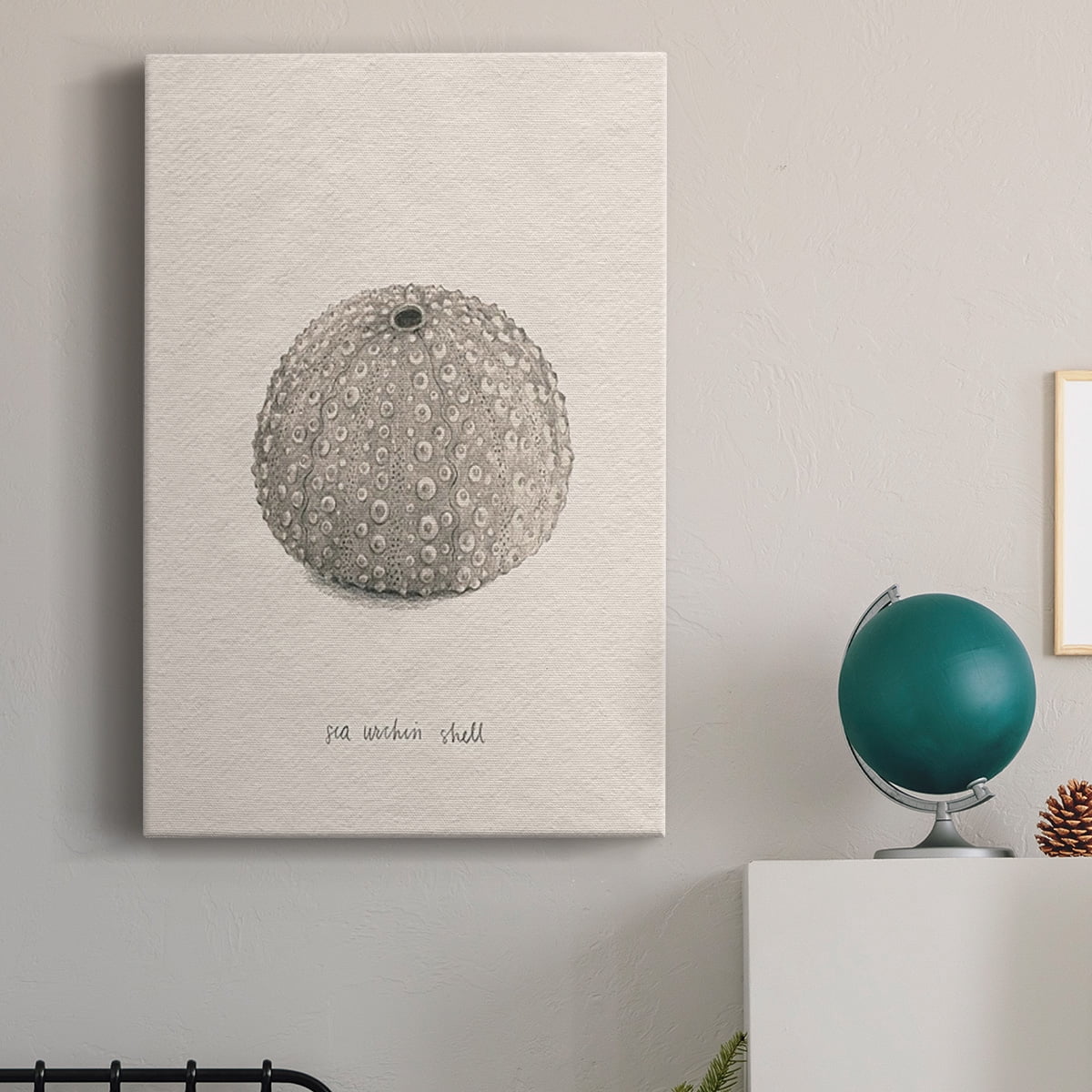Shore Treasure Study I Premium Gallery Wrapped Canvas - Ready to Hang