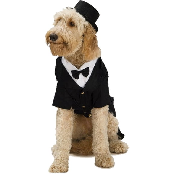 Rubie's Costume Co - Top Hat for Pets - ML