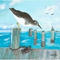 thumbnail image 3 of Maria, Robin 12x12 Black Modern Framed Museum Art Print Titled - Sandpiper Pier, 3 of 5