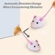 thumbnail image 5 of Ratón eléctrico Gato Juguete USB Recargable Simulación Rata Mascota Auto-Jugando (Rosa) Ndcxsfigh Para estrenar, 5 of 7