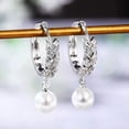 thumbnail image 3 of Elegant 925 Silver Drop Earring Cubic Zircon Women Anniversary Party Gift A Pair, 3 of 6