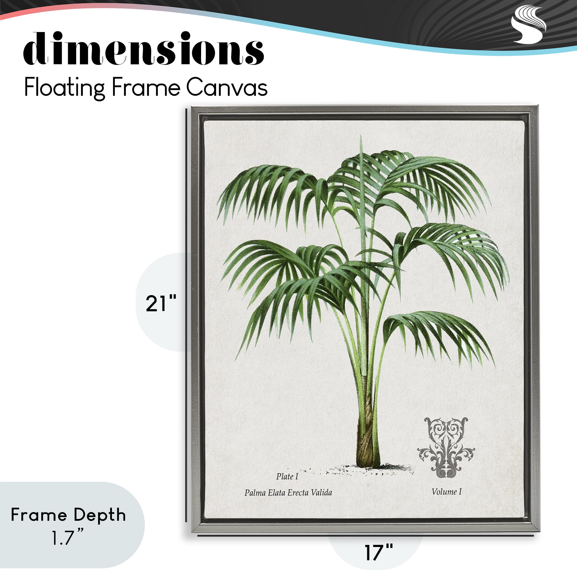Stupell Industries Natural Palm Study Gray Framed Floater Canvas Wall Art, design by Val Rhodes