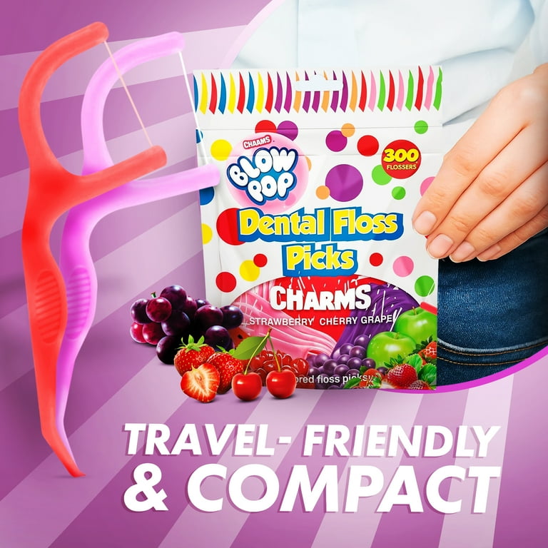 EVERYDAY JOE Flavored Dental Floss Picks 300 Count Adults Kids