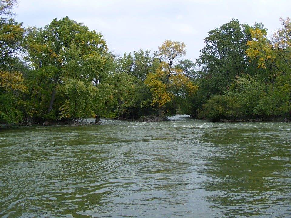 River Fox Realty