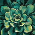 thumbnail image 2 of Meagher, Megan 26x26 Gold Ornate Wood Framed with Double Matting Museum Art Print Titled - Succulent Bloom I, 2 of 4