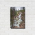thumbnail image 3 of Luxe Metal Art 'Alberta Falls - Rocky Mountain National Park' by Darren White, Metal Wall Art, 16"x24", 3 of 7